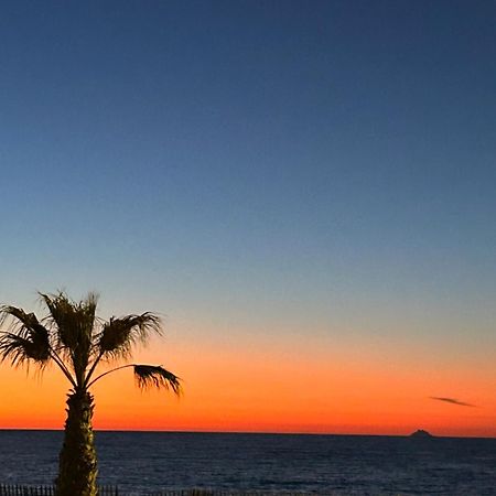 Petite Endroit Splendide. Six-Fours-les-Plages Exterior foto